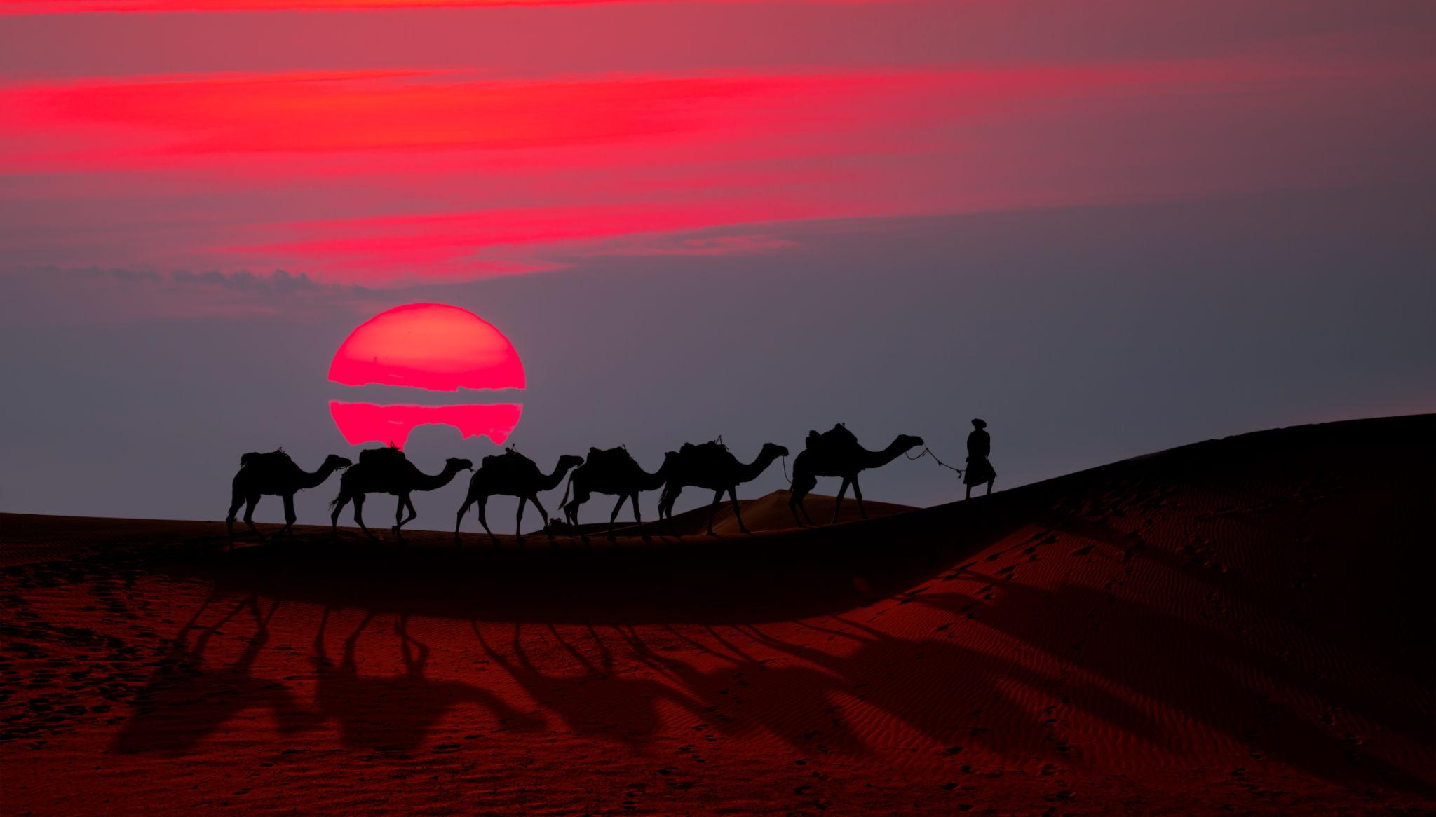 View of the Caravan of camel in the sahara desert of Morocco at sunset time - Morocco eSim