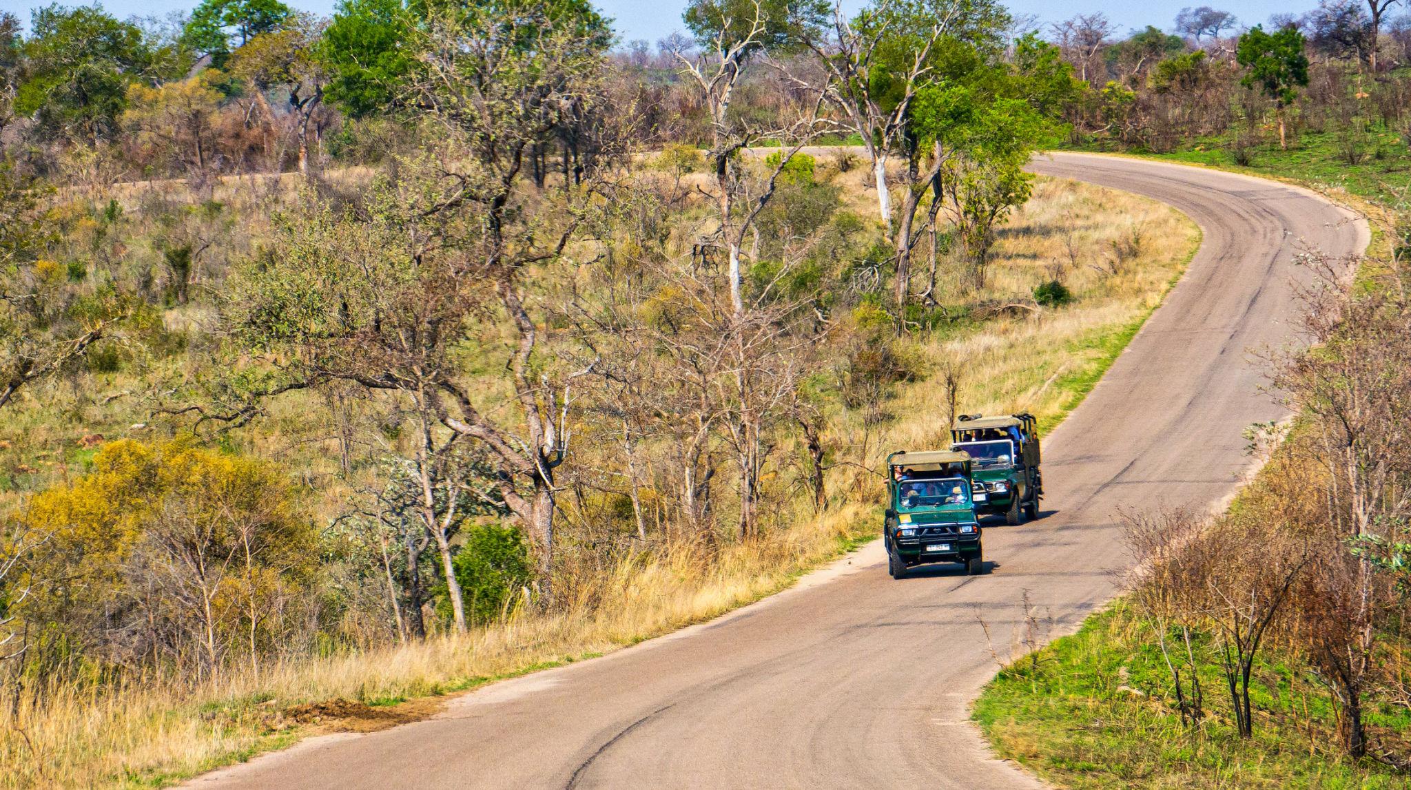 View of the Kruger National Park - South Africa eSim
